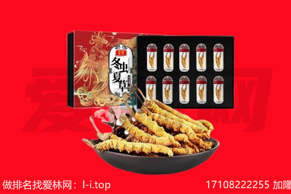昭通市回收虫草.jpg